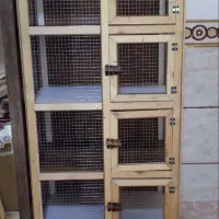 یک سگ و یک جفت کن پرندگان نو معاوضه با پرنده