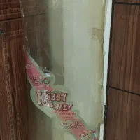 عروسک|اسباب‌بازی بچه|پاکدشت, پاکدشت (مامازند)|دیوار