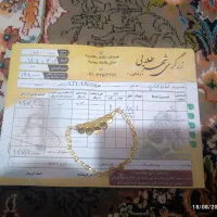 طلا|جواهرات|همدان, |دیوار