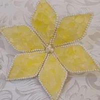 قندساب و نبات سفره عقد