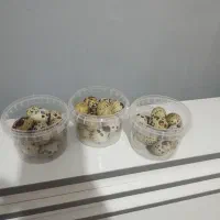 تخم بلدرچین