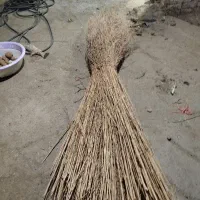 جارو شهرداری