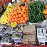 فروشنده برای میوه فروشی