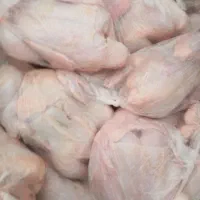 مرغ کشته و زنده