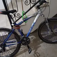 دوچرخه ۲۶ جاینت اصلی