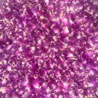 گلبرگ محمدی خشک وخوش عطر