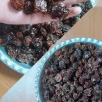 آلوچه خشک خورشتی درشت و گوشتی