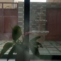 آپارتمان۳ طبقه / ۱۰۵ متر زمین/ ۸۰متر ساخت