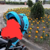 کالسکه،پشه بندنوزاد،ساک کودک