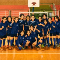 آکادمی فوتبال و فوتسال حرفه ای