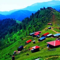 تور دوروزه ماسال ۴۹۵۰