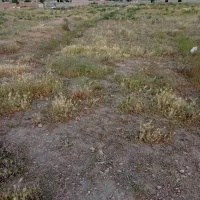 زمین 400متر در داخل روستای امند