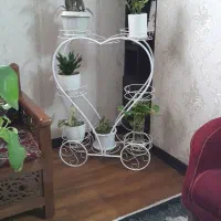 استند‌فرفوشه‌‌‌سفید‌‌‌