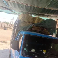 یونجه