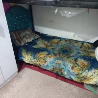 تخت دو طبقه همراه با یک عدد توشک نو و تمیز