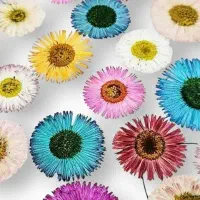راهنمایی میکنم در ضمیمه رزین
