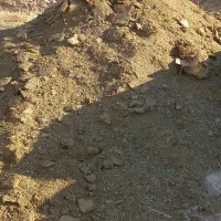 کود گوسفندی درجه یک