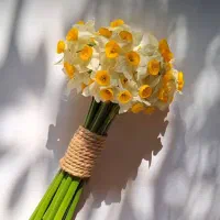 گل بی شانس