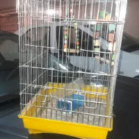 قفس بزرگ پرنده