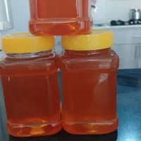 عسل خلخال طبیعی وخالص