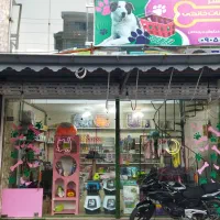پت شاپ پت سنتر - فروش ملزومات حیوانات خانگی انزلی
