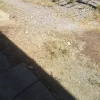 زمین مسکونی در شهرک گلها میامی