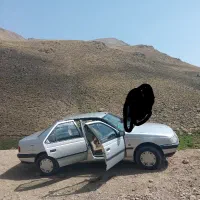 پژو۴۰۵