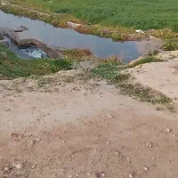 فروش-28-هکتار-زمین-کشاورزی-سرخه-شوش-سند-ثبتی