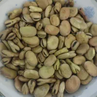 باقالی خشک برای فروش