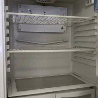 یخچال|یخچال و فریزر|کاشان, باغ ماجد|دیوار