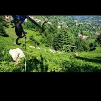 چای چینی در ترکیه ۱۰ تیر حرکت
