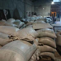 تفاله خرما هسته خرما  و هسته رست شده