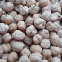 نخود آبگوشتی بوجار شده