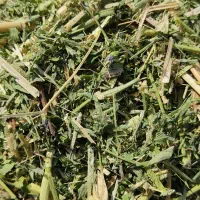 یونجه درجه یک تاش دوم و سوم