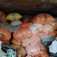 کاه گندم خوردشده