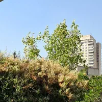استخدلم کارگر خانم جهت کارهای منزل