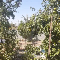 ویلاباغ تکمیل شبستر