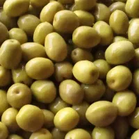 عرضه مستقیم زیتون شور و بدون هسته و خیارشور امسالی