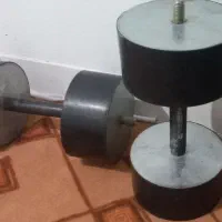 دمبل