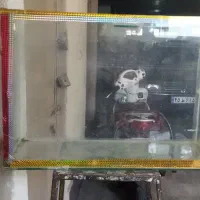 آکواریوم