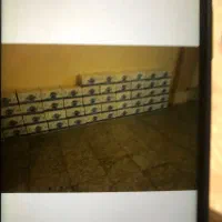 اب معدنی -اب لیوانی -اب معدنی لیوانی-اب ۲۵۰ سی سی