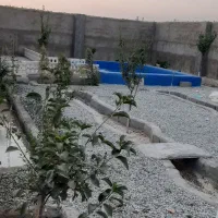 باغچه نقلی ۳۰۰ متری