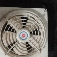 فن  متوسط  وهود ساده