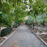جویای کار نگهبانی یا سرایداری باغ هستم