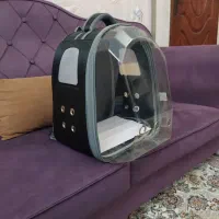 کوله حمل پت  حیوانات خانگی