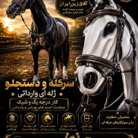 زین اسب