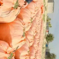 فروش یونجه خورد شده درجه یک