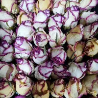 گل رز خشک