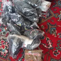ملیله باز نشده ۱۸ بسته