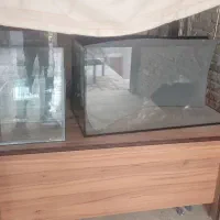 آکواریوم حرفه ای
